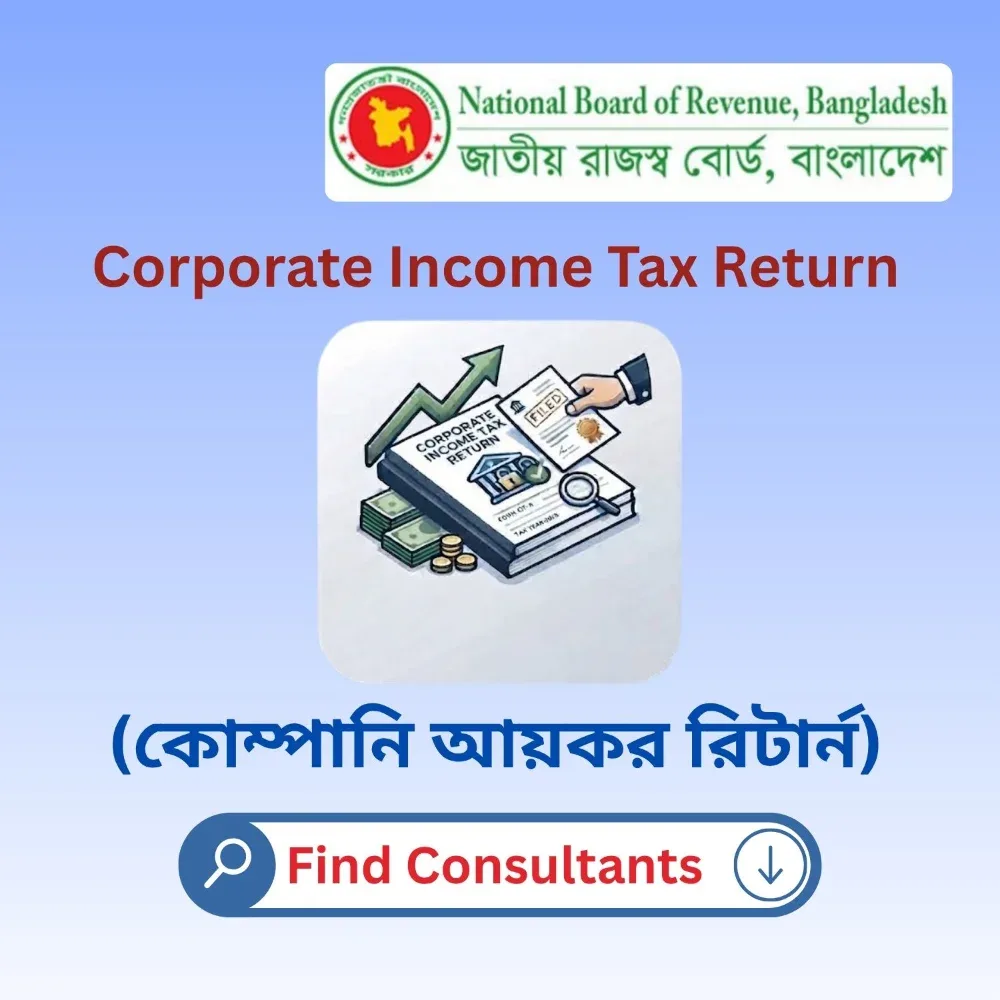 Corporate Income Tax Return