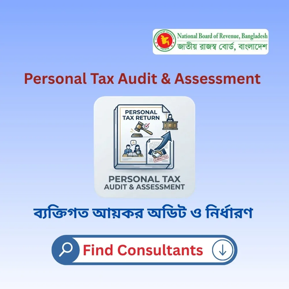 Personal Tax Audit & Assessment